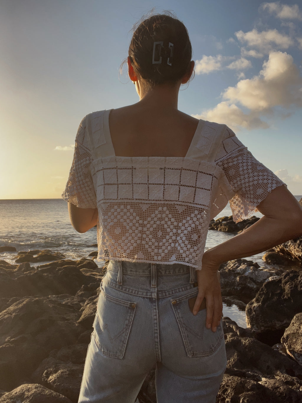 SOLD OUT Crochet Lace Sleeve Crop Top