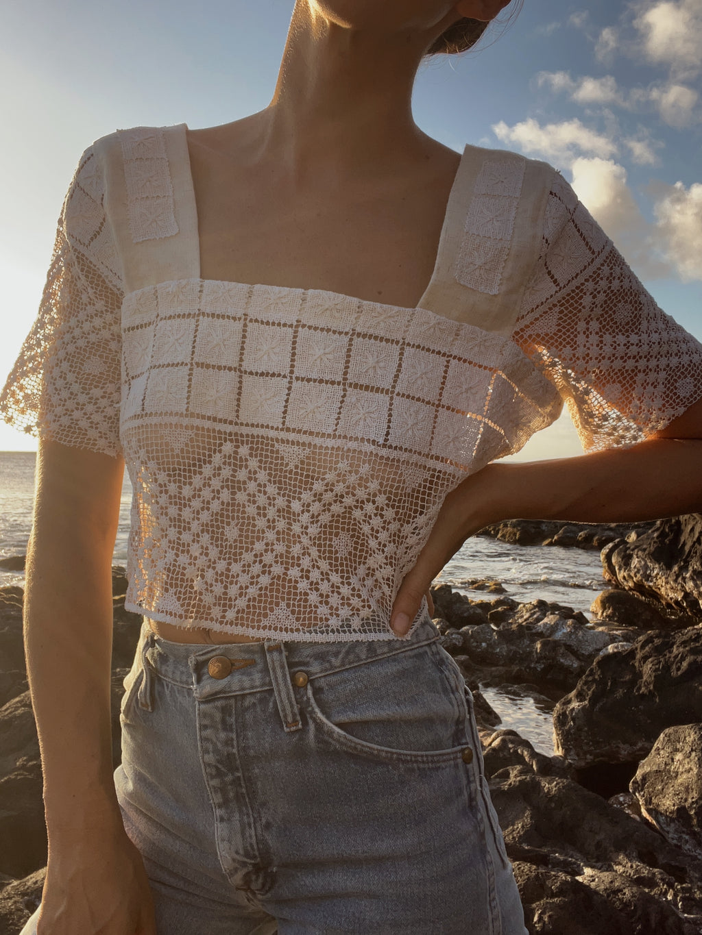 SOLD OUT Crochet Lace Sleeve Crop Top