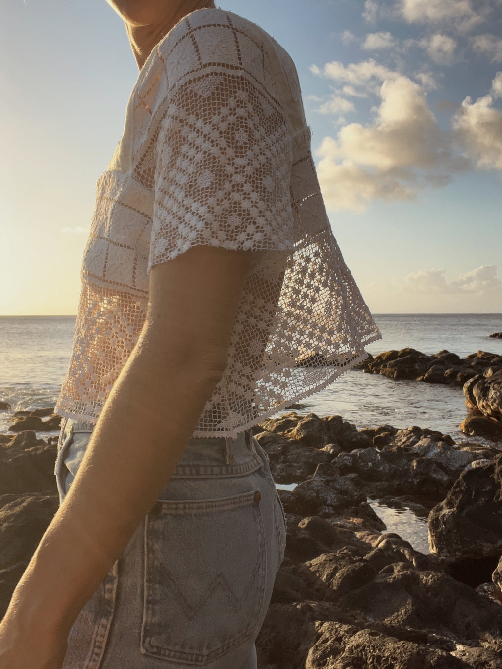 SOLD OUT Crochet Lace Sleeve Crop Top